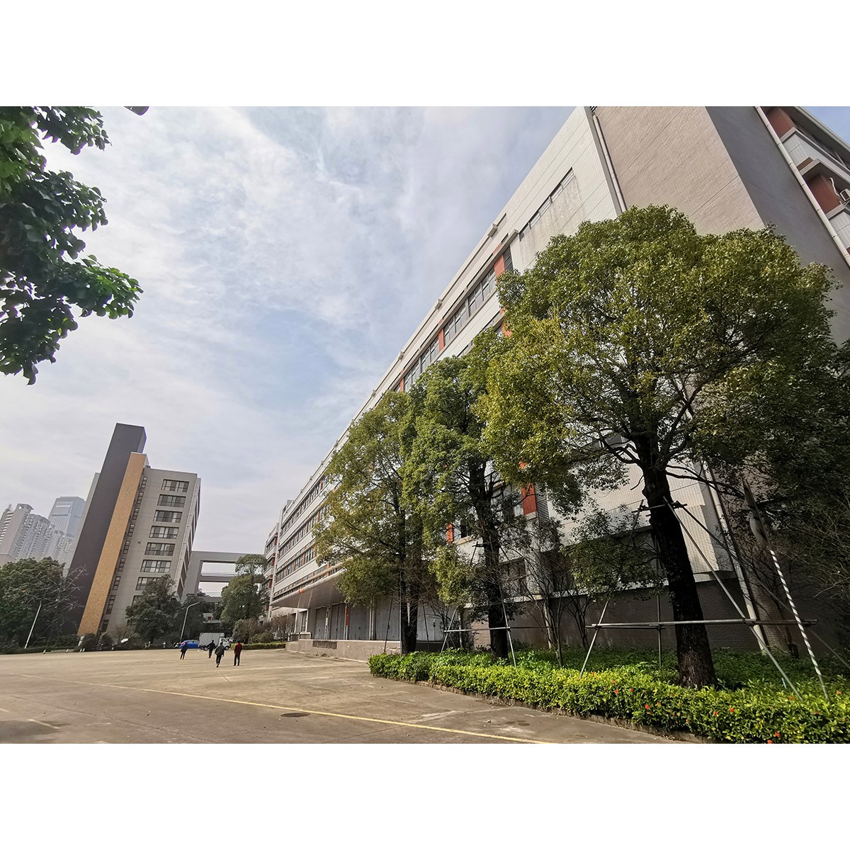 工廠照片_(2)