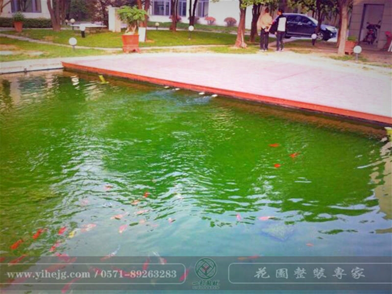 假山錦鯉魚池
