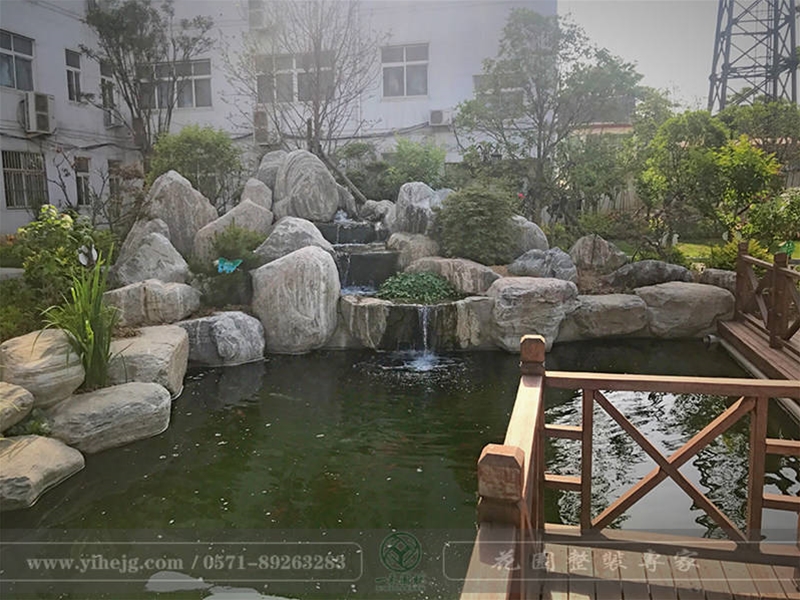 假山錦鯉魚池